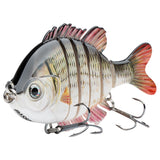#color_carp