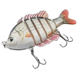 #color_carp