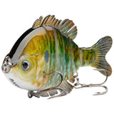 #color_Blue-gold-pumpkinseed