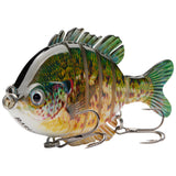 #color_spotted-sunfish