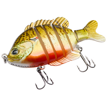 #color_redbreast-pumpkinseed
