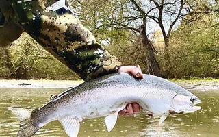 Trout Fishing Guide For Any Angler