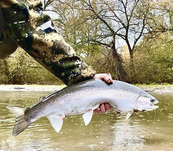 Trout Fishing Guide For Any Angler