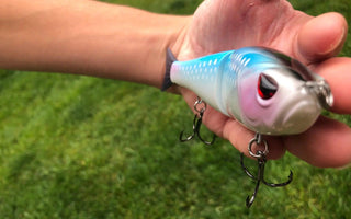 New Species added to the Bassdash Single-Jointed Hard Fishing Lure 2024 - Bassdash