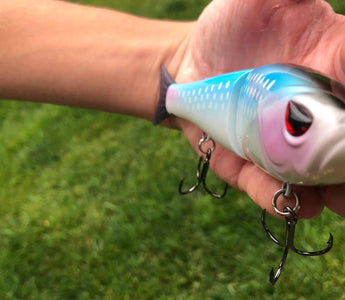 New Species added to the Bassdash Single-Jointed Hard Fishing Lure 2024 - Bassdash