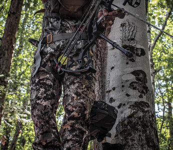 When the Woods Go Quiet: Reflections from an Unfilled Tag