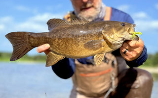 Fishing the Mr. Wiggly Fly for Summer Smallmouth Bass