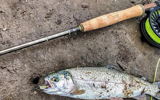 Tips on Types of Fly Fishing Flies for Beginners - Bassdash