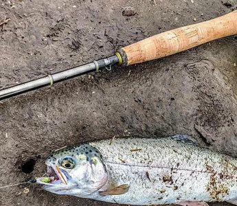 Tips on Types of Fly Fishing Flies for Beginners - Bassdash