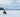 Tips and Tricks for a Successful ice fishing Season