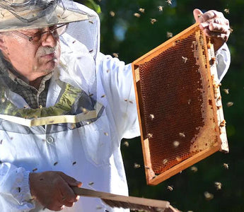 Effective Strategies to Keep Mosquitoes Away While Fishing - Bassdash