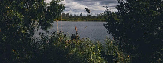 Unveiling the Power of Reeds Camo for Duck Hunting