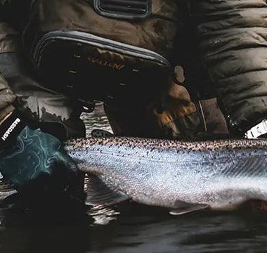 Stay Cool and Protected with Sun Protection Fingerless Gloves for Fishing - Bassdash