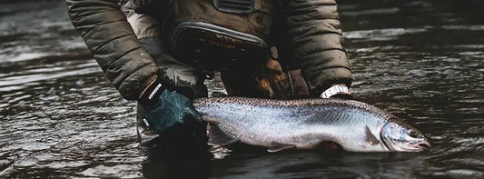 Stay Cool and Protected with Sun Protection Fingerless Gloves for Fishing - Bassdash