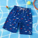 WILDBREATH Boys UPF 50+ Quick Dry Swim Trunks