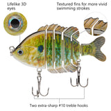 #color_Blue-gold-pumpkinseed