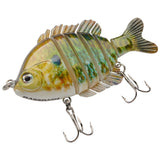 #color_Blue-gold-pumpkinseed