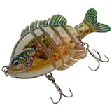 #color_spotted-sunfish