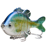 #color_blue-fish