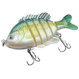 #color_blue-fish