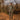 WALKER Breathable Waterproof Hunting Pants for men - Bassdash