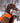 Insulated Dog winter Vest for hunting - Bassdash