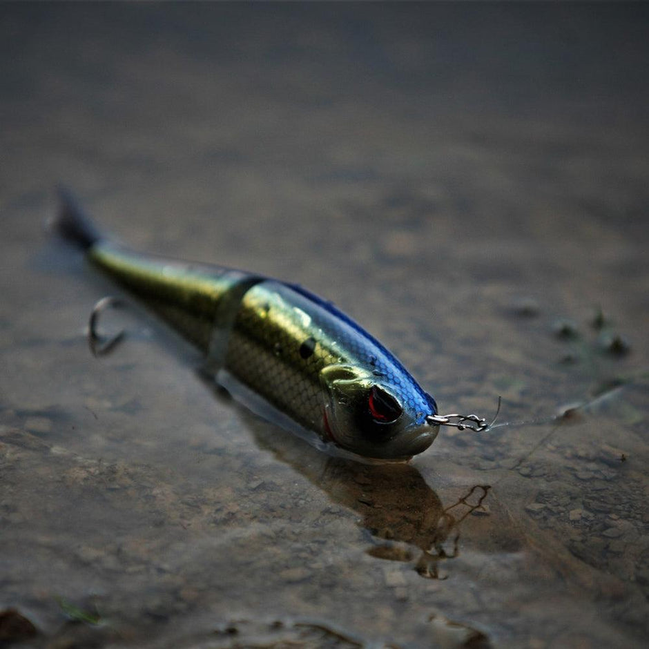 Fishing Baits & Lures | Bassdash Fishing Baits & Lures | Bassdash
