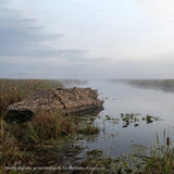 #color_marsh-camo