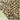 #color_leopard