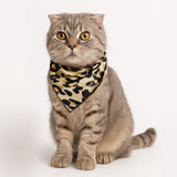 #color_leopard