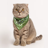 #color_olive-green