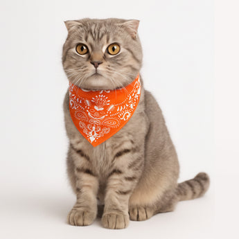 #color_orange