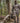 WALKER Breathable Waterproof Hunting Pants for men