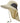 Unisex UPF 50+ Water Resistant Sun Hat with Neck Flap FH06 - Bassdash