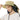 Women's UPF 50+ Sun Hat with Ponytail Hole Neck Flap FH05W - Bassdash