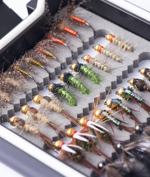 The Essential 33-Piece Trout Collection - Bassdash