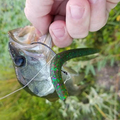 EWG Worm Hooks 30 Pack - Bassdash
