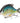 SwimPomfret Hard Swimbait with Built-in Steel Balls 3.9in/1.3oz - Bassdash