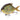 SwimPomfret Hard Swimbait with Built-in Steel Balls 3.9in/1.3oz - Bassdash