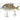 SwimPomfret Hard Swimbait with Built-in Steel Balls 3.9in/1.3oz - Bassdash