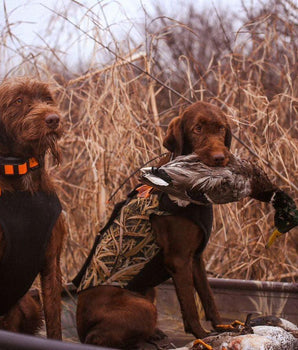 Dog Neoprene Hunting Vest FV10 - Bassdash