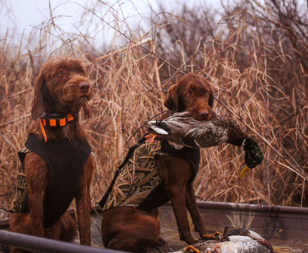 Vests-Hunting - Bassdash